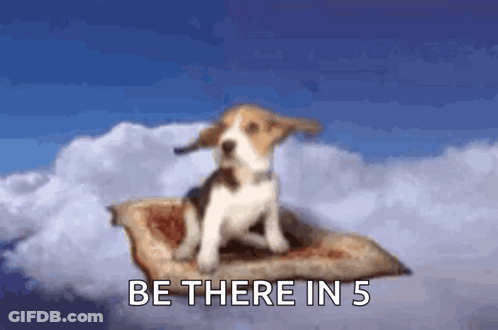 A Beagle Puppy Is Sitting On A Flying Carpet In The Sky With The Words Be There In 5 Below It GIF