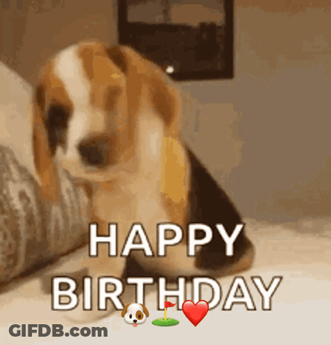 A Beagle Puppy Sitting On A Bed With The Words Happy Birthday Written On It GIF