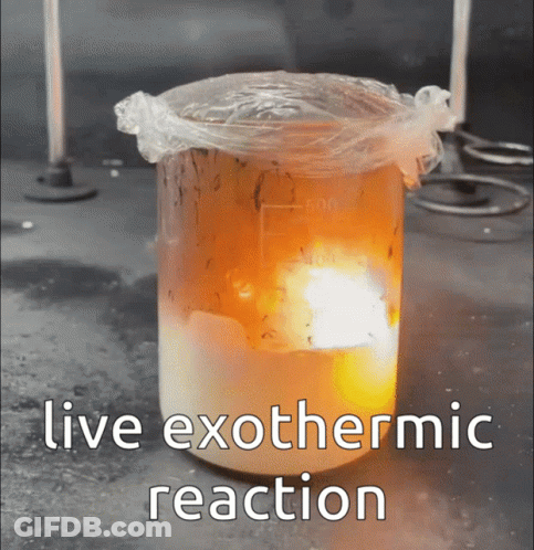 A Beaker Of Liquid With The Words Live Exothermal Reaction Written On It GIF