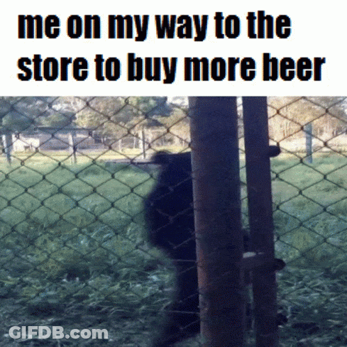 A Bear Behind A Chain Link Fence With The Words Me On My Way To The Store To Buy More Beer Below It GIF