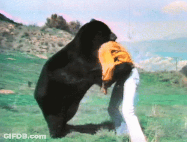 A Bear Body Slam A Man GIF