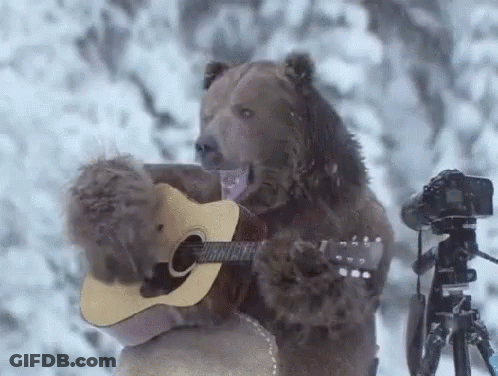 A Bear Is Playing A Guitar In The Snow GIF