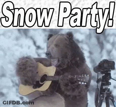 A Bear Is Playing A Guitar In The Snow While A Camera Records It . GIF