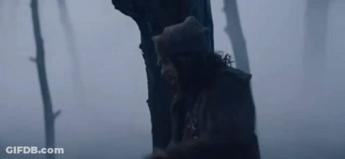 A Bear Is Sitting On A Tree Stump In The Woods . GIF