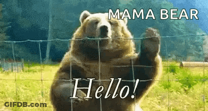 A Bear Is Standing Behind A Fence Waving Its Paw . GIF