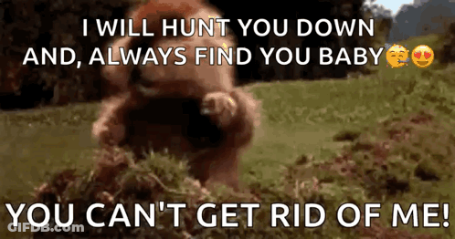 A Bear Is Standing In A Field With The Words `` I Will Hunt You Down And , Always Find You Baby '' GIF