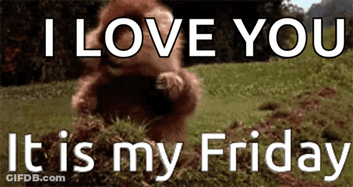 A Bear Is Standing In The Grass With The Words `` I Love You It Is My Friday '' Written Above It . GIF
