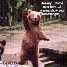 A Bear Is Standing On Its Hind Legs And Says " Heeeyy Come Over Here I Wanna Show You Something !!! " GIF