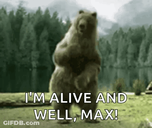 A Bear Is Standing On Its Hind Legs In A Field . GIF