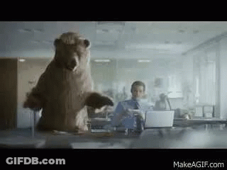 A Bear Is Standing On Its Hind Legs In Front Of A Man Using A Laptop Computer . GIF