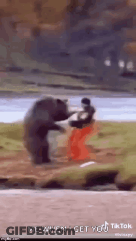 A Bear Is Standing On Its Hind Legs Next To A Man . GIF