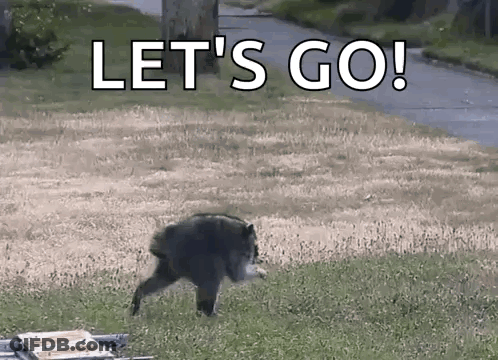 A Bear Is Walking In A Field With The Words Let 'S Go Written On It . GIF