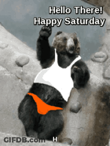 A Bear Is Wearing A White Tank Top And Orange Bikini Bottoms And Says Hello There Happy Saturday GIF