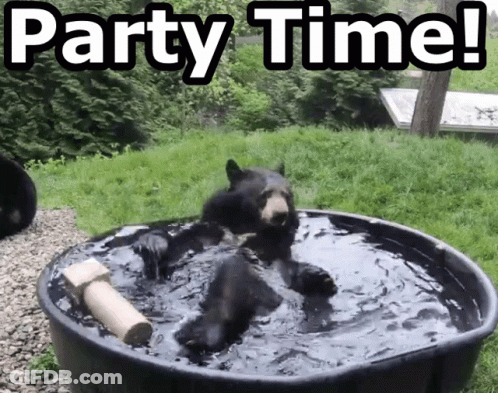 A Bear Laying In A Tub Of Water With The Words Party Time GIF