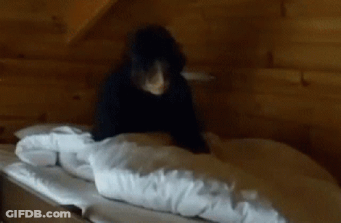A Bear Laying On A Bed With A White Blanket GIF