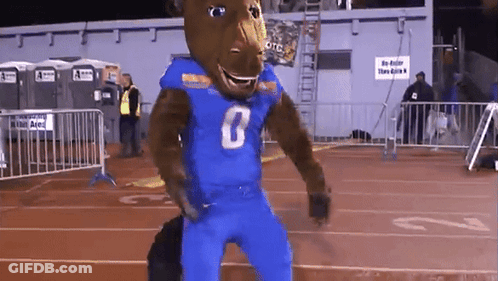 A Bear Mascot Wearing A Blue Jersey With The Number 8 On It GIF