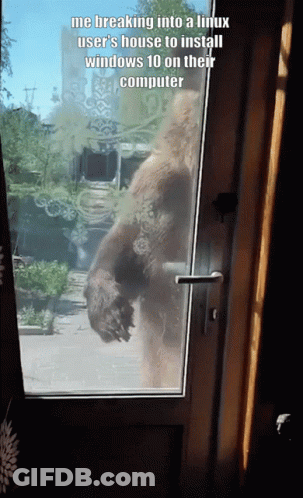 A Bear Standing In A Doorway With A Caption That Says Me Breaking Into A Linux User 'S House GIF