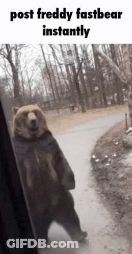 A Bear Standing On Its Hind Legs With The Caption Post Freddy Fast Bear Instantly GIF