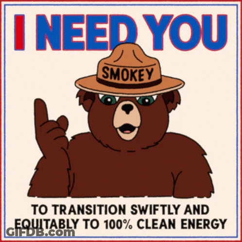 A Bear Wearing A Smokey Hat Says I Need You To Transition Swiftly And Equably To 100 % Clean Energy GIF