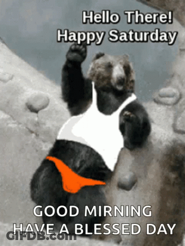 A Bear Wearing A White Tank Top And Orange Underwear Says Hello There Happy Saturday GIF