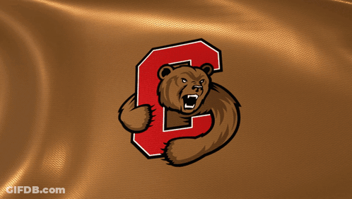 A Bear With A Letter C On Its Back GIF