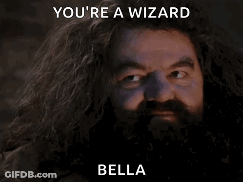 A Bearded Man With A Surprised Look On His Face And The Words You 'Re A Wizard Bella GIF