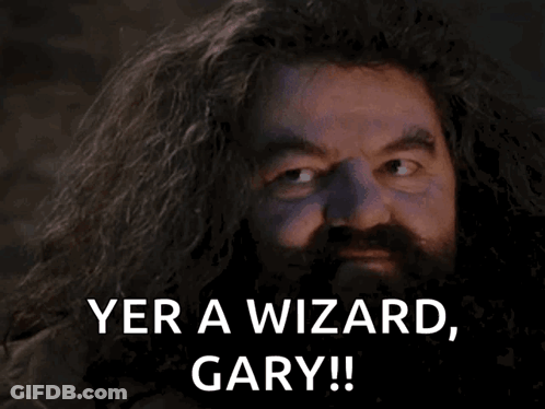A Bearded Man With A Surprised Look On His Face Says " Yer A Wizard Gary " GIF