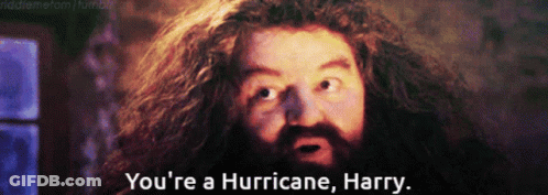 A Bearded Man With A Surprised Look On His Face Says You 'Re A Hurricane Harry GIF