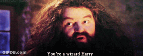 A Bearded Man With A Surprised Look On His Face Says " You 'Re A Wizard Harry " GIF