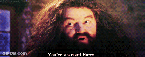 A Bearded Man With A Surprised Look On His Face Says " You 'Re A Wizard Harry " GIF