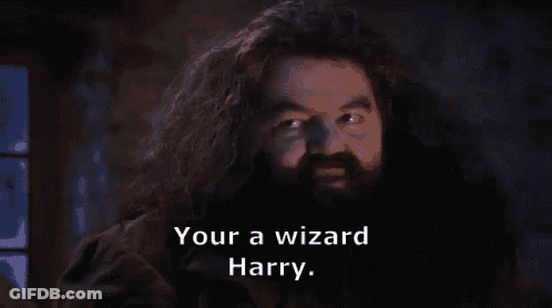 A Bearded Man With The Words Your A Wizard Harry GIF