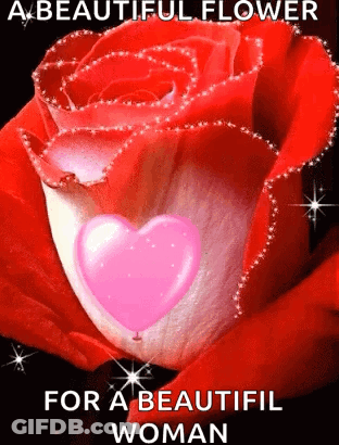 A Beautiful Flower For A Beautiful Woman Is A Red Rose With A Pink Heart In It . GIF