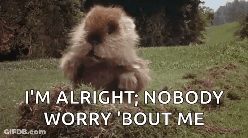A Beaver Is Sitting In The Grass And Saying `` I 'M Alright , Nobody Worry Bout Me '' GIF