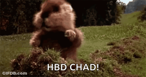A Beaver Is Standing On Its Hind Legs In The Grass And Eating Grass . GIF