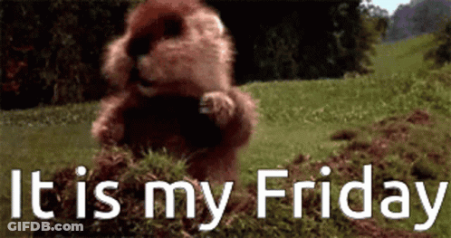 A Beaver Standing In The Grass With The Words " It Is My Friday " GIF
