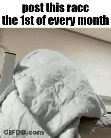 A Bed With A Blanket On It That Says Post This Race The 1St Of Every Month .. GIF