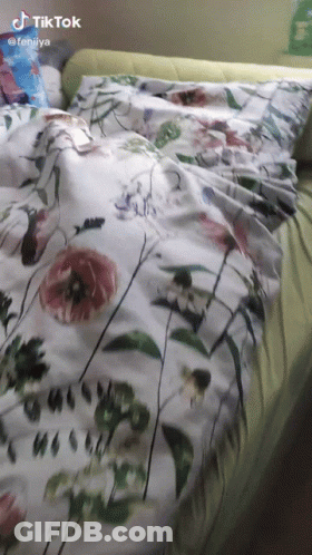 Bed With Floral Comforter And TikTok Icon GIF