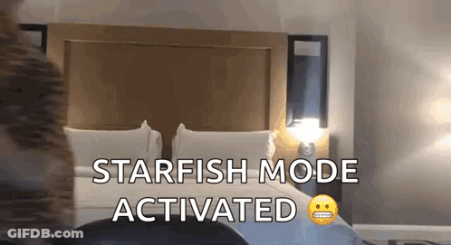 A Bedroom With A Bed And The Words Starfish Mode Activated Above It GIF