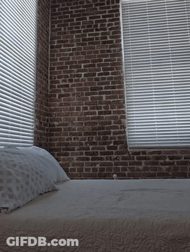 A Bedroom With A Brick Wall And Blinds GIF