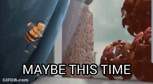 A Bee From The Movie Despicable Me Is Flying In Front Of A Sponge And The Words `` Maybe This Time '' . GIF