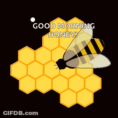 A Bee Is Flying Over A Honeycomb With The Words Good Morning Honey Written Below It GIF