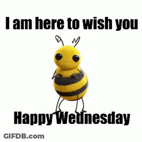A Bee Says " I Am Here To Wish You Happy Wednesday " On A White Background GIF