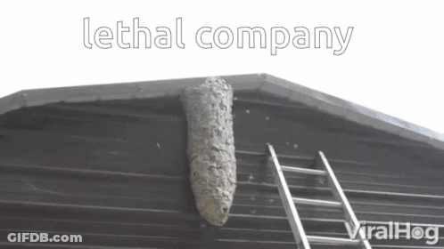 A Beehive On The Side Of A Building With The Words Lethal Company Written Above It GIF