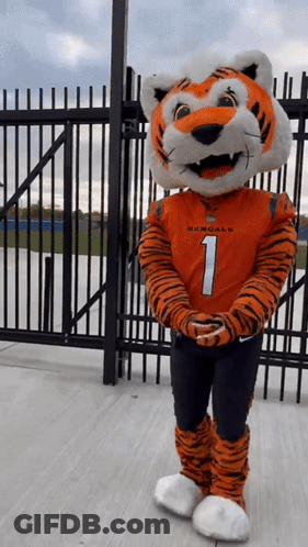A Bengals Mascot Is Standing In Front Of A Gate GIF