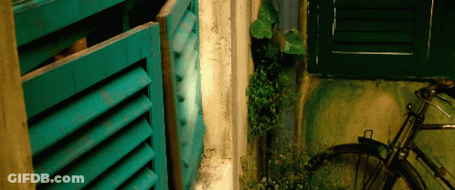 A Bicycle Is Leaning Against A Wall Next To A Green Shutter GIF