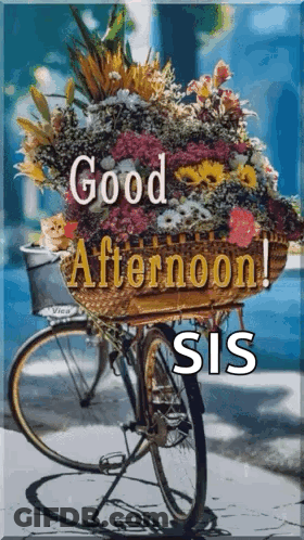 A Bicycle With A Basket Full Of Flowers On It GIF