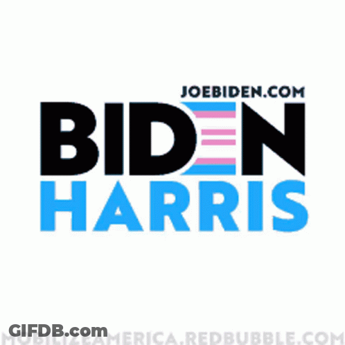Biden Harris Logo With Tie Dye Design GIF