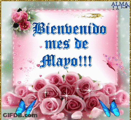 A Bienvenido Mes De Mayo Card With Pink Roses And Butterflies GIF