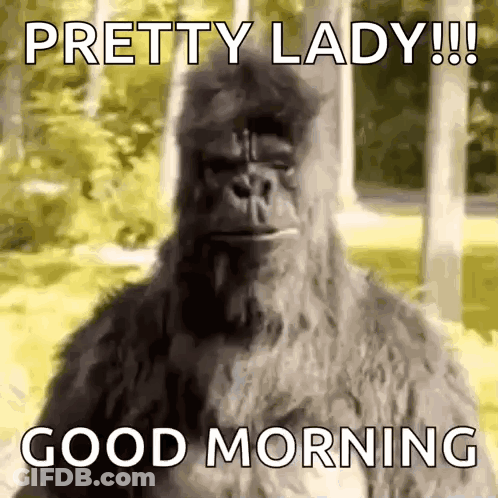 A Bigfoot Says Good Morning To A Pretty Lady GIF