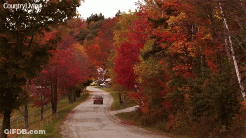 A Billboard-Free Road Runs Through Some Of Rmonts Quaint Villages GIF
